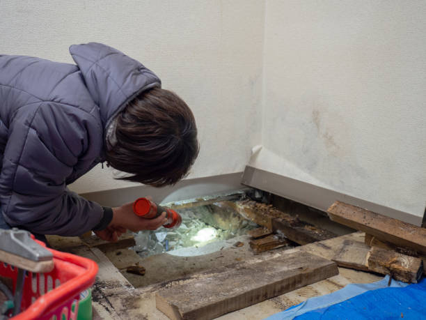Best HVAC Mold Inspection and Cleaning  in La Grande, OR