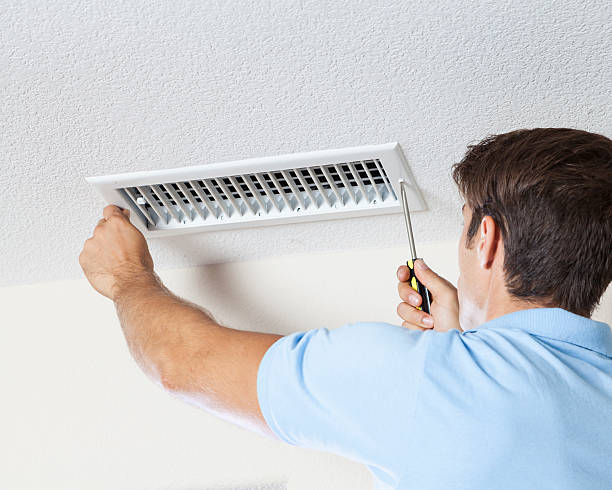 Best Mold Remediation for Vacation Homes  in La Grande, OR